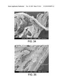 PROCESSING BIOMASS diagram and image