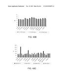 PROCESSING BIOMASS diagram and image