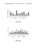 PROCESSING BIOMASS diagram and image