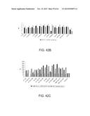 PROCESSING BIOMASS diagram and image