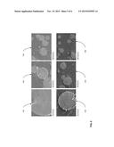 PLASMA SPRAY COATING DESIGN USING PHASE AND STRESS CONTROL diagram and image