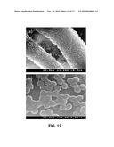 HYDROPHOBIC PAPER OR CARDBOARD WITH SELF-ASSEMBLED NANOPARTICLES AND     METHOD FOR THE PRODUCTION THEREOF diagram and image