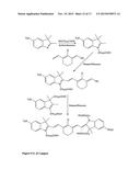 Kits for analysis of biological samples diagram and image