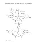 Kits for analysis of biological samples diagram and image