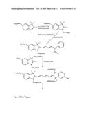 Kits for analysis of biological samples diagram and image