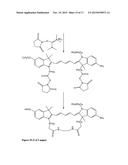 Kits for analysis of biological samples diagram and image