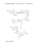 Kits for analysis of biological samples diagram and image