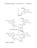 Kits for analysis of biological samples diagram and image