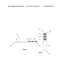 MCAM AS A BIOMARKER FOR FLUID HOMEOSTASIS diagram and image