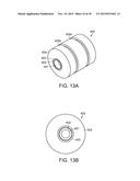 METHODS AND APPARATUS FOR THE ANALYSIS OF FATTY ACIDS diagram and image