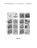 PTYCHOGRAPHY IMAGING SYSTEMS AND METHODS WITH CONVEX RELAXATION diagram and image