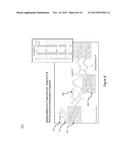 VISUALIZATION OF NUCLEIC ACID SEQUENCES diagram and image