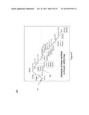 VISUALIZATION OF NUCLEIC ACID SEQUENCES diagram and image