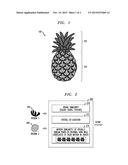 Static Image Segmentation diagram and image