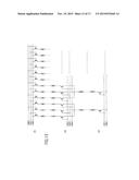 GATE SIGNAL LINE DRIVE CIRCUIT AND DISPLAY DEVICE diagram and image