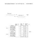 Beam Forming Using a Dual Polarized Antenna Arrangement diagram and image