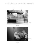 ALVEOLAR BREATH COLLECTION APPARATUS diagram and image