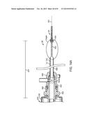 TISSUE RESECTION AND TREATMENT WITH SHEDDING PULSES diagram and image