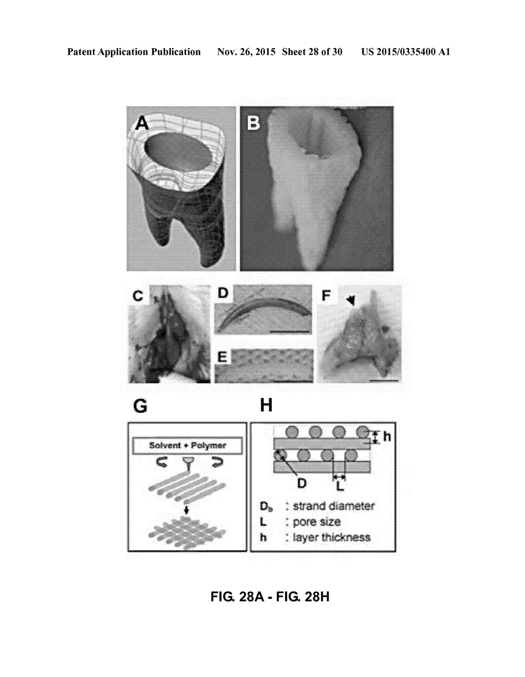 TOOTH SCAFFOLDS - diagram, schematic, and image 29