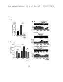 MODULATORS OF INTRACELLULAR CHLORIDE CONCENTRATION FOR TREATING FRAGILE X     SYNDROME diagram and image