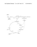 METHODS OF THERAPEUTIC MONITORING OF NITROGEN SCAVENGING DRUGS diagram and image