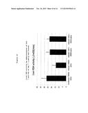 PDK4 INHIBITOR AND USE THEREOF diagram and image