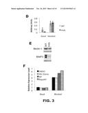 METHODS FOR IMPROVING MUSCLE STRENGTH diagram and image