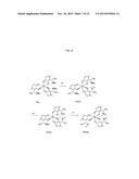 FLUORINATED DERIVATIVES OF 3-HYDROXYPYRIDIN-4-ONES diagram and image