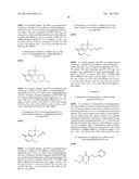 FLUORINATED DERIVATIVES OF 3-HYDROXYPYRIDIN-4-ONES diagram and image