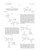 PYRIMIDINE DIOL AMIDES AS SODIUM CHANNEL BLOCKERS diagram and image