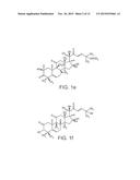 STANDARDIZED EXTRACT AND ITS USE IN THE MANUFACTURE OF A MEDICAMENT diagram and image