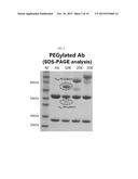 CHEMICALLY MODIFIED TARGETING PROTEIN AND USE THEREOF diagram and image