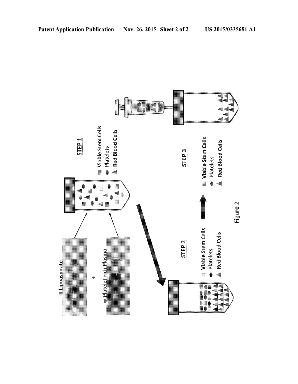 Biocomposites Having Viable Stem Cells and Platelets and Methods for     Making and Using the Same - diagram, schematic, and image 03