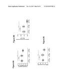 METHODS AND COMPOSITIONS FOR TREATING HUNTINGTON S DISEASE diagram and image