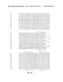 INFLUENZA VIRUS VACCINES AND USES THEREOF diagram and image