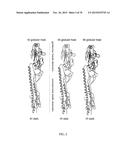 INFLUENZA VIRUS VACCINES AND USES THEREOF diagram and image