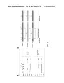 INFLUENZA VIRUS VACCINES AND USES THEREOF diagram and image