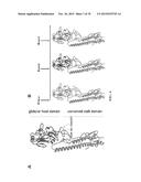 INFLUENZA VIRUS VACCINES AND USES THEREOF diagram and image