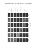 INFLUENZA VIRUS VACCINES AND USES THEREOF diagram and image