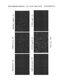 INFLUENZA VIRUS VACCINES AND USES THEREOF diagram and image