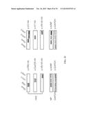 INFLUENZA VIRUS VACCINES AND USES THEREOF diagram and image