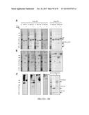 INFLUENZA VIRUS VACCINES AND USES THEREOF diagram and image