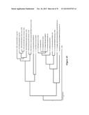 INFLUENZA VIRUS VACCINES AND USES THEREOF diagram and image