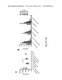 INFLUENZA VIRUS VACCINES AND USES THEREOF diagram and image