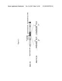 RECOMBINANT NANOPARTICLE RSV F VACCINE FOR RESPIRATORY SYNCYTIAL VIRUS diagram and image