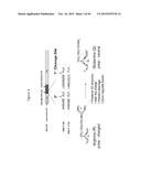 RECOMBINANT NANOPARTICLE RSV F VACCINE FOR RESPIRATORY SYNCYTIAL VIRUS diagram and image