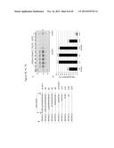 RECOMBINANT NANOPARTICLE RSV F VACCINE FOR RESPIRATORY SYNCYTIAL VIRUS diagram and image