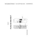 RECOMBINANT NANOPARTICLE RSV F VACCINE FOR RESPIRATORY SYNCYTIAL VIRUS diagram and image