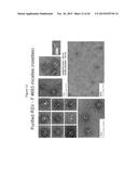 RECOMBINANT NANOPARTICLE RSV F VACCINE FOR RESPIRATORY SYNCYTIAL VIRUS diagram and image