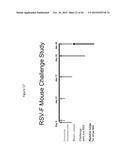 RECOMBINANT NANOPARTICLE RSV F VACCINE FOR RESPIRATORY SYNCYTIAL VIRUS diagram and image